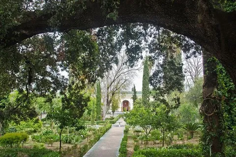 Maroko | Zielony ogród przed Muzeum Dar Batha