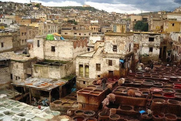 Maroko | Garbarnia skór w Fezie