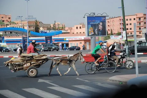 Maroko | Marrakesz – zderzenie tradycji z nowoczesnością