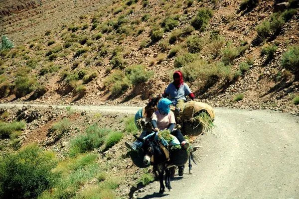 Maroko | Wioski Berberów