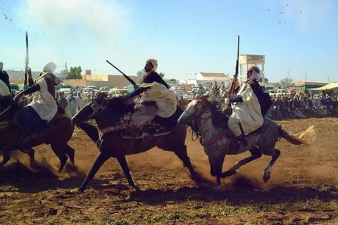 Maroko | Jeźdźcy na koniach wykonują widowiskowy pościg, zwieńczony strzałami ze starej broni
