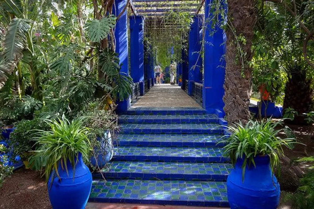 Maroko | Ogród Majorelle jest niezwykle barwny