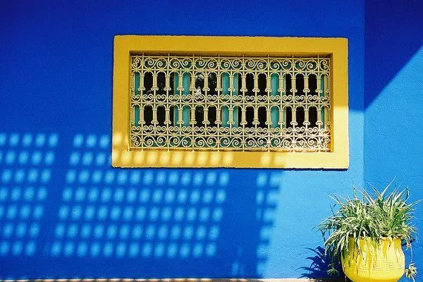 Maroko | Ogród Majorelle z pewnością nas zaskoczy…