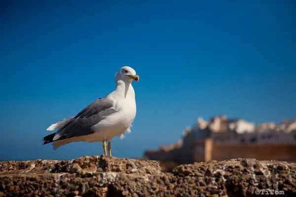 Maroko | Maroko jesienią też jest piękne!