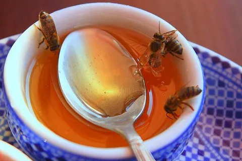 Maroko - Imouzzer | Dumą tutejszych okolic jest przepyszny miód