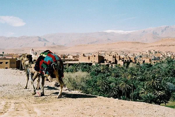 Maroko | Tinejdad skąpany w upalnym słońcu