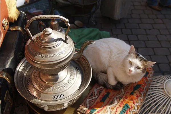 Maroko |  Ne barwnych marokańskich bazarach nie trudno o inspirację do cikawej opowieści…