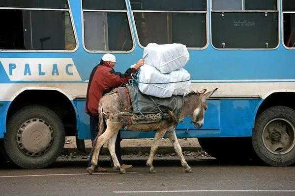 Maroko | Transport tradycyjny i ten bardziej nowoczesny