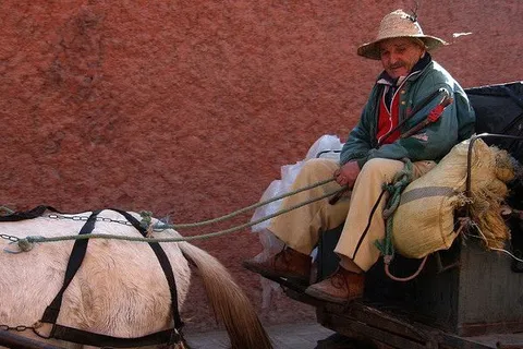 Maroko | Dialekty darija czerpią m. in. z francuskiego, hiszpańskiego oraz z języków berberyjskich