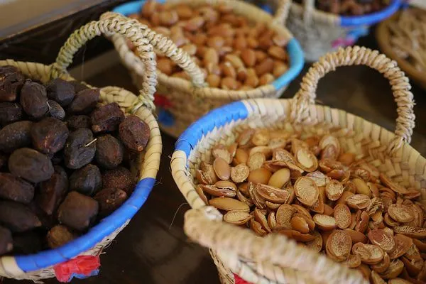 Chorwacja | Olej arganowy wytwarzany jest z orzechów arganowca