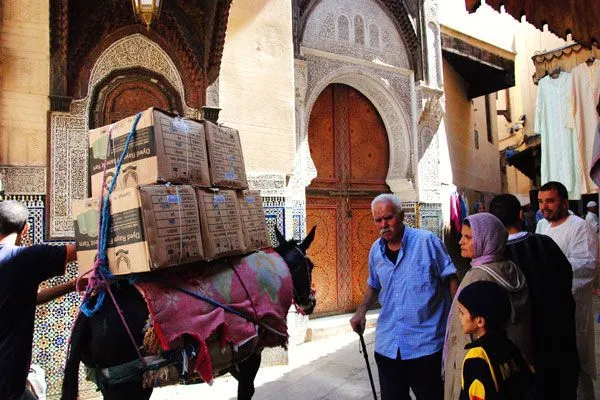 Maroko | Osiołki i konie są głównym środkiem transportu w wąskich uliczkach Fezu
