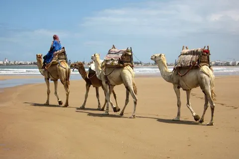 Maroko | Planujesz wakacje swoich marzeń? A co powiesz na Maroko!