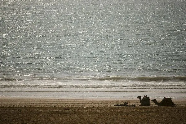 Maroko | Szeroka plaża Sidi Kaouki