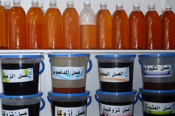 Maroko | Olej arganowy domowej produkcji