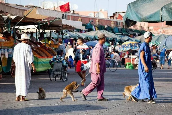 Maroko | Suk w Marrakeszu – jedno z najbardziej kolorowych zakątków Maroka