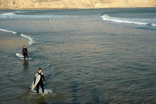 Surferzy z deskami wychodzą z oceanu na wybrzeżu