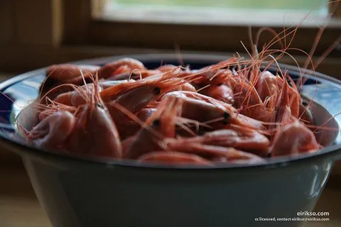 Maroko | Maroko słynie z przepysznych owoców morza