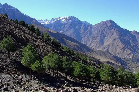 Maroko | Park Narodowy został utworzony dla ochrony środowiska regionów wysokogórskich, szczególnie ze względu na wielką różnorodność flory i fauny