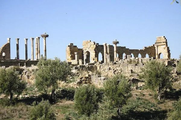 Maroko | Widok na stanowisko archeologiczne w Volubilis